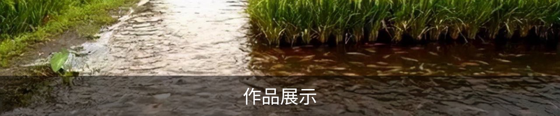作品展示